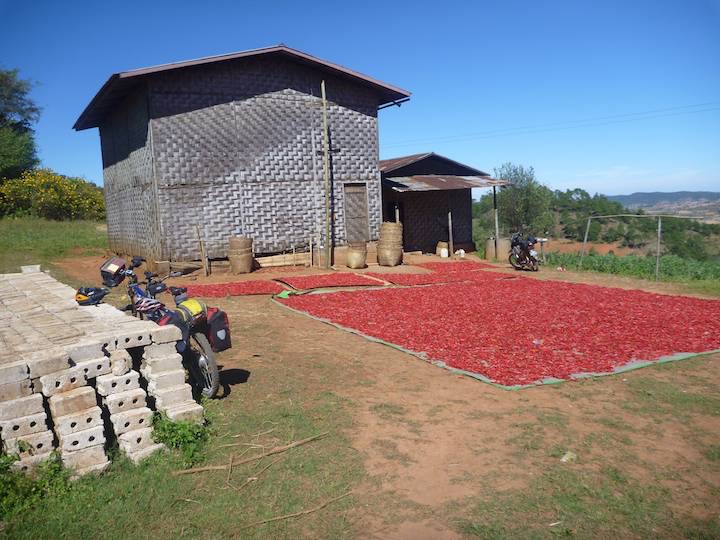 We stopped for lunch a a villagers house and our guide prepared a meal.  They are chillies drying.